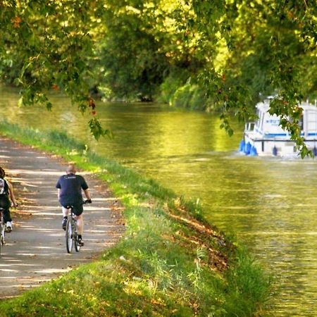 Les Toits De Toulouse - T3 & Garage Apartment Ngoại thất bức ảnh